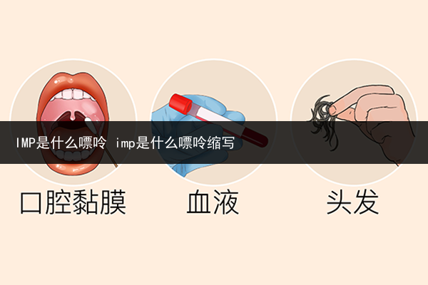 IMP是什么嘌呤 imp是什么嘌呤縮寫