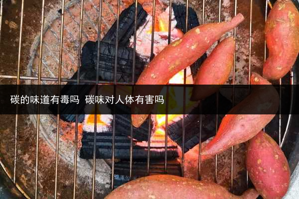 碳的味道有毒嗎 碳味對人體有害嗎