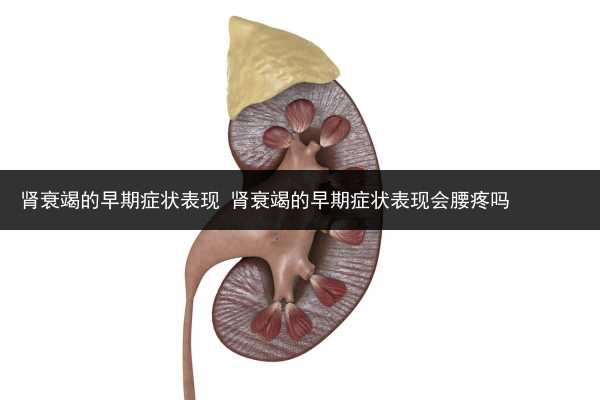 腎衰竭的早期癥狀表現 腎衰竭的早期癥狀表現會腰疼嗎