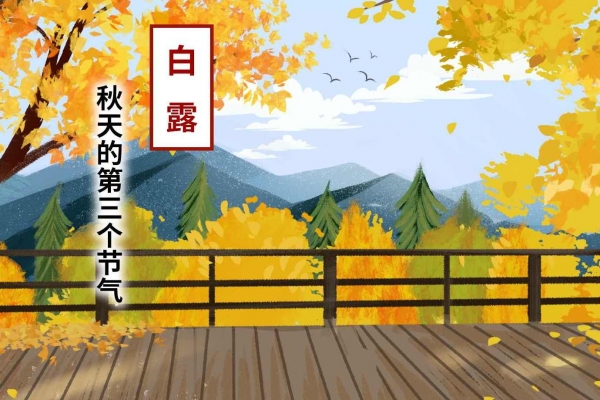 白露是幾月幾日 白露的習俗