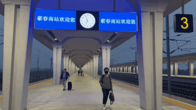 我去蘄春找真艾，是不是好艾，要做好這7看