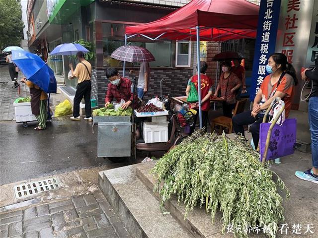 10元一把艾草賣斷貨，野生艾草或成武漢又一特色產業