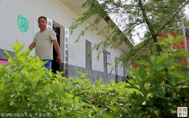 原創
            我和“艾”結緣3年，產值數百萬，讓300多戶貧困村民當上股東