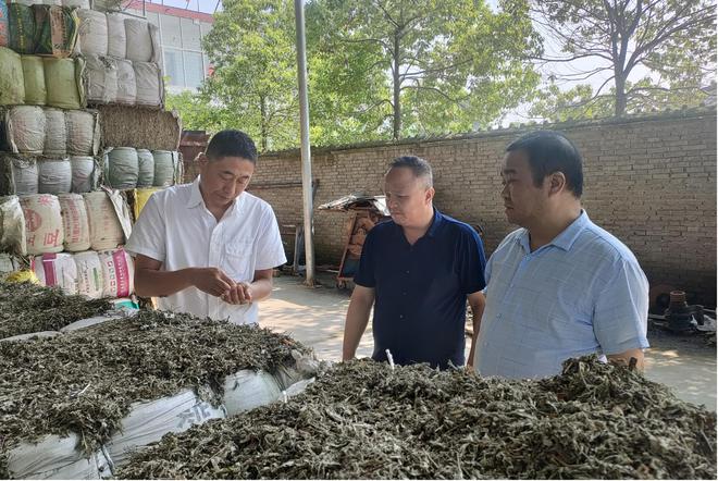 主動洽談對接 助力臥龍艾制品出口歐盟