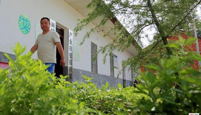 我返鄉種艾3年，年產值數百萬，帶領300多戶貧困村民當上股東