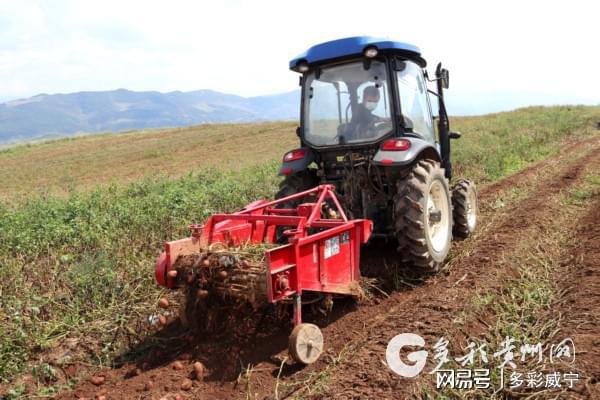 威寧馬鈴薯生產全程機械化穩產能降成本提效率
