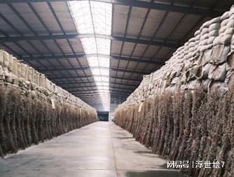四季蘄艾科普：劣質艾絨如何以次充好？